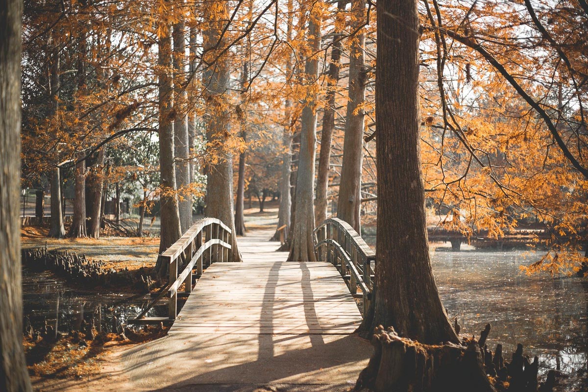 Petit pont en bois sur une rivière en automne