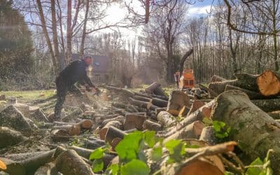 Réalisation d’un verger et d’une prairie champêtre