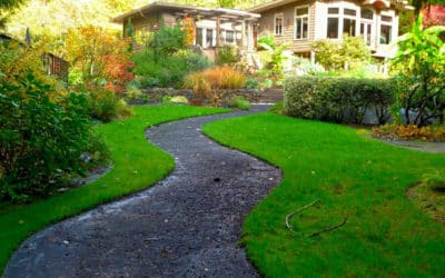 Comment entretenir son jardin en été ?